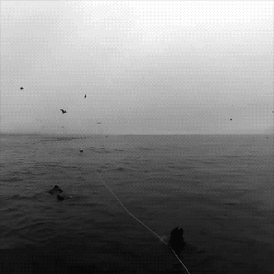 상어&고래 | 인스티즈