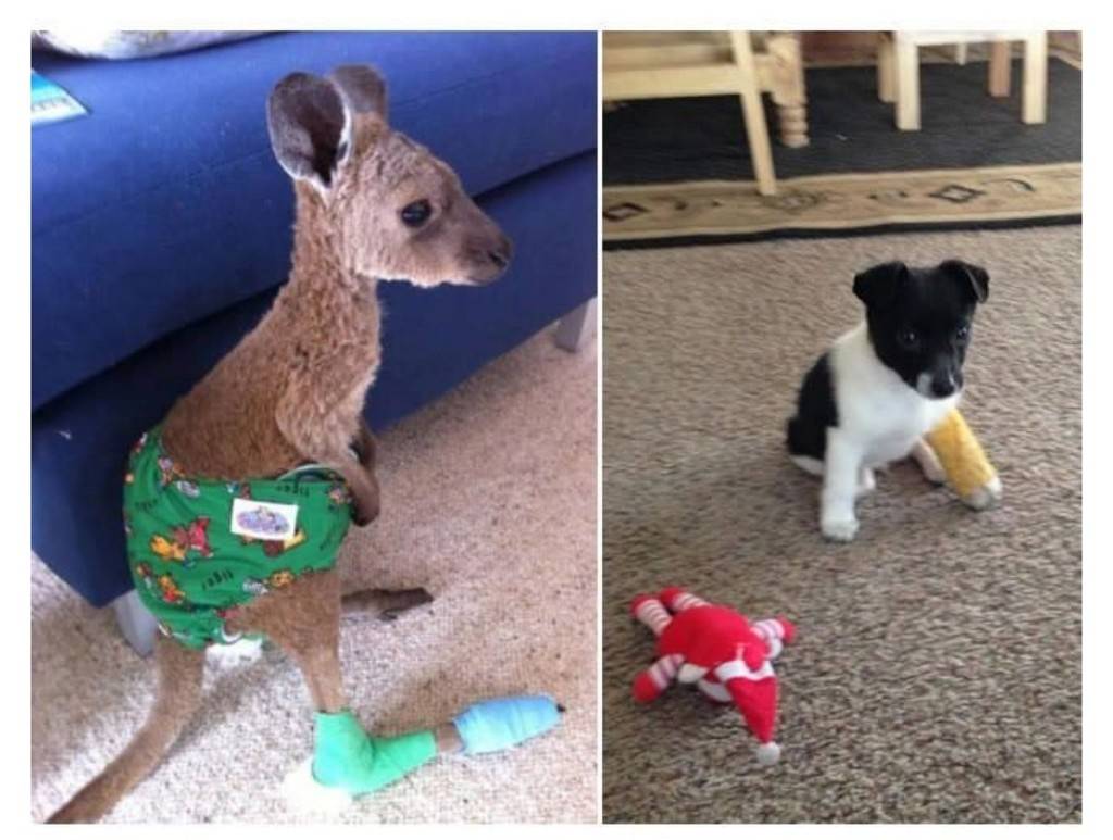 나 아야했쪄 | 인스티즈