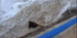 자연을 우습게 본 여성의 최후~ | 인스티즈