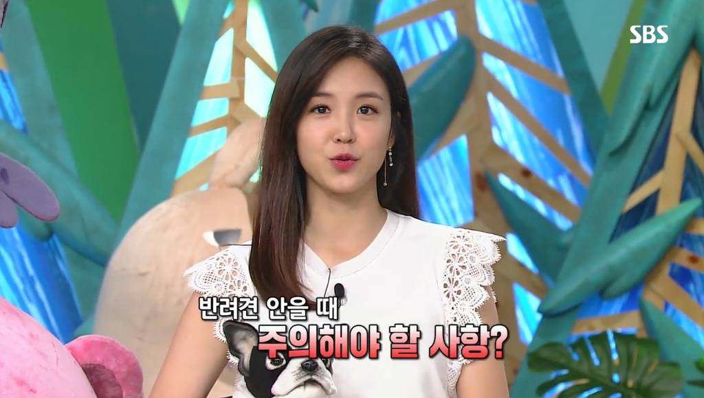 왜 반려견이 가족인가? | 인스티즈