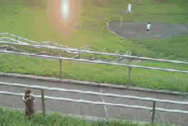 말 걸지 마요.....혼자 있고 싶어요...gif | 인스티즈