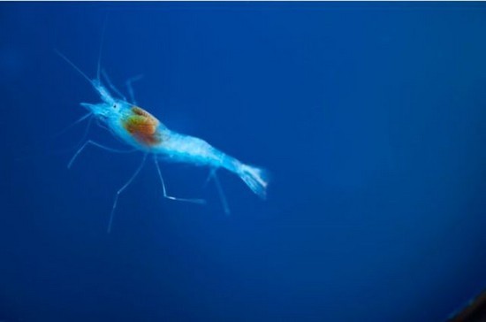 블루홀 끝까지 탐사하기!!! .jpg | 인스티즈