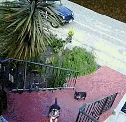 아빠가 미안해... | 인스티즈