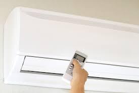 여름 호vs불호 | 인스티즈