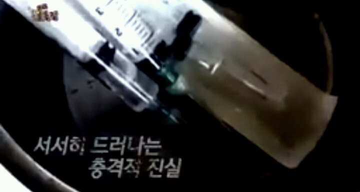 충격적인 강아지 공장 실태(서명운동) | 인스티즈