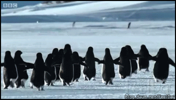 의외로 모르는 사람들이 많아서 어이없음 | 인스티즈