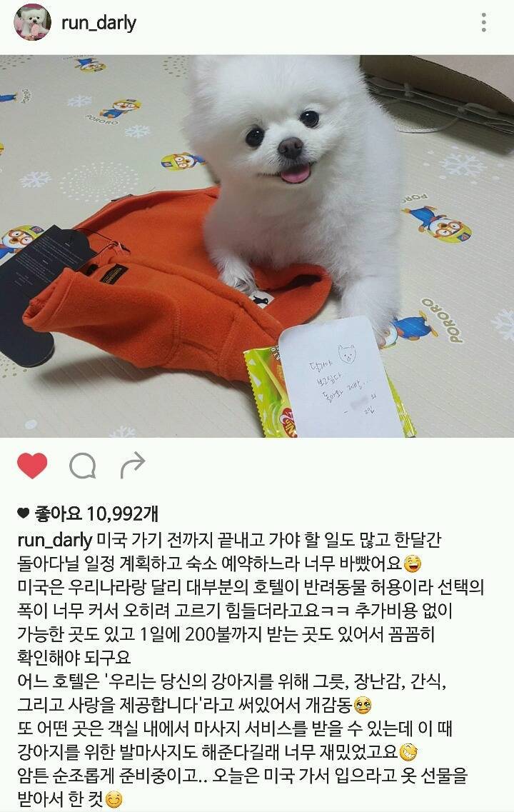 오늘자 달리로 보는, 견주 입장에서의 서양권 부러운 문화 중 하나.jpg | 인스티즈