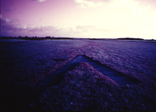  우리는 없을 거야 | 인스티즈