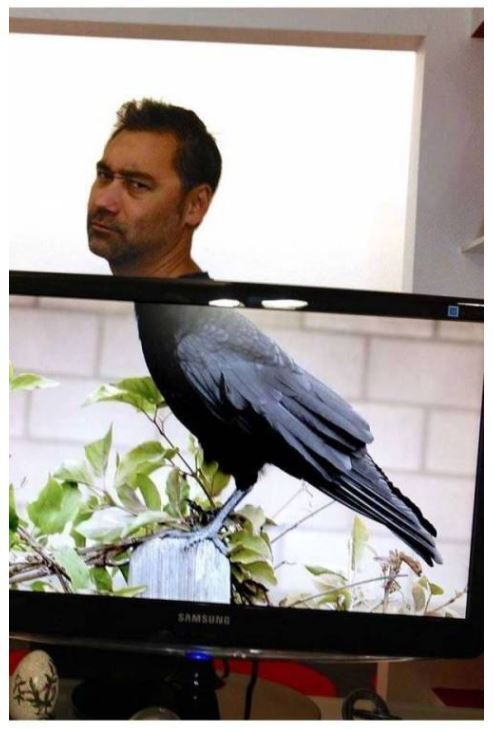 직장인들 사이에서 유행하는 놀이 | 인스티즈