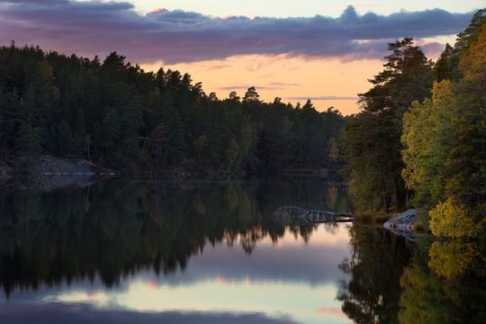  마음에 흉터만 잔뜩이다 | 인스티즈