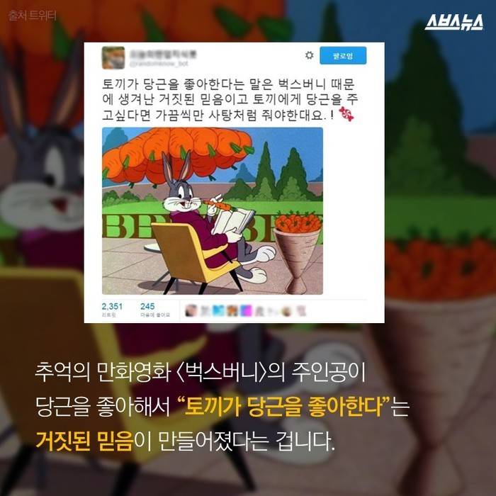  토끼가 당근을 못 먹는다고요? | 인스티즈