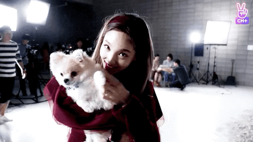 이제는 키우는 강아지에게 마저 업신여김당하는 나연이 | 인스티즈