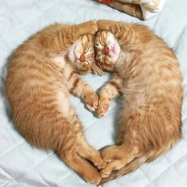 내안에 하트있당 | 인스티즈