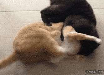 그들의 반격이 시작된다 | 인스티즈