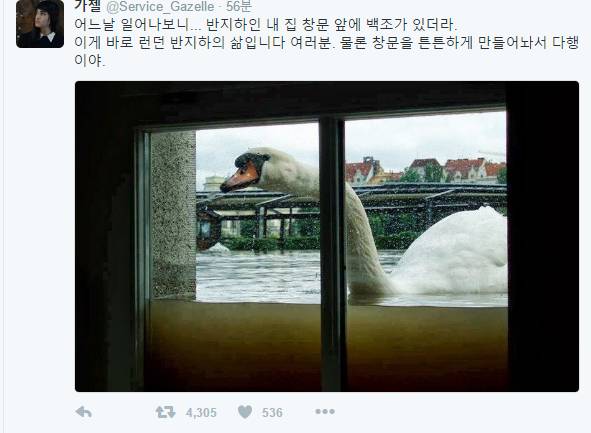 런던 반지하의 삶 | 인스티즈