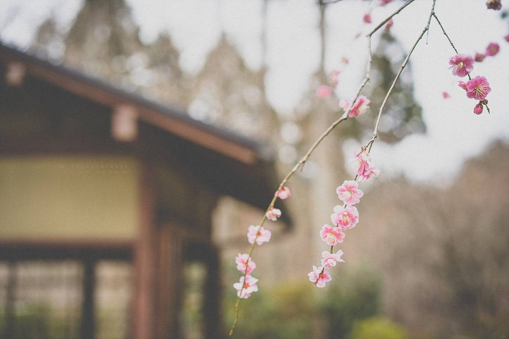 스냅사진 위주의 유치진지한 여행기 - 오사카&교토 (3) | 인스티즈