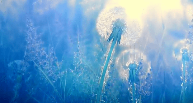 봄이 오면 볼 수 있는 모습 | 인스티즈