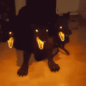 서양의 흔한 가습기.GIF | 인스티즈