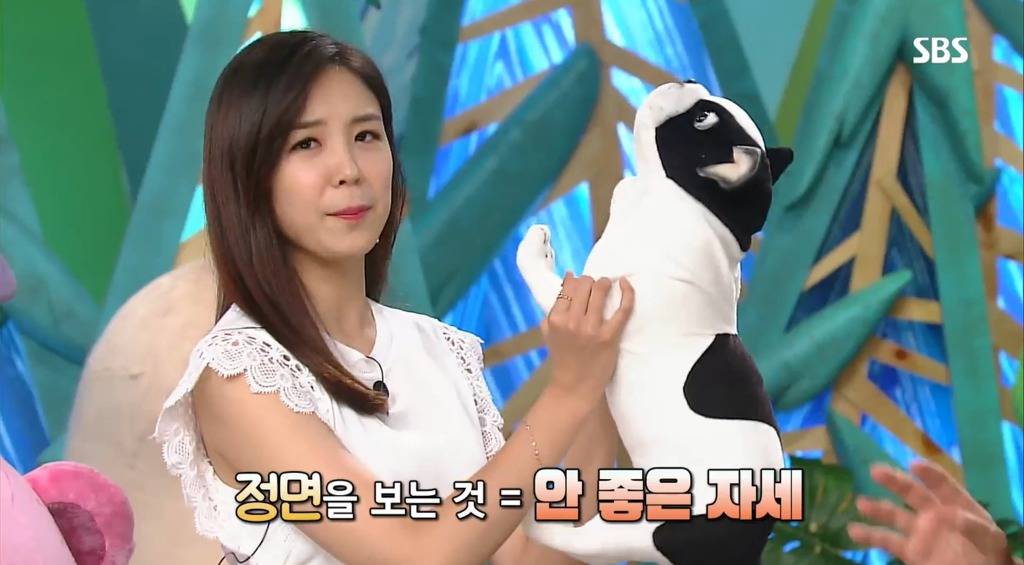 왜 반려견이 가족인가? | 인스티즈