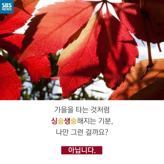 사람이 가을타는 이유 | 인스티즈