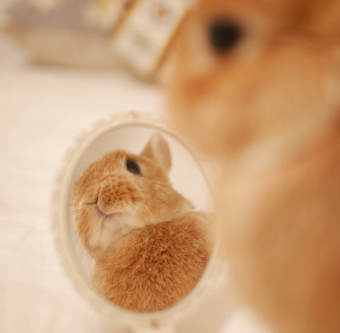 하트 코구멍 이다 아니다 Y 코구멍 이다 | 인스티즈