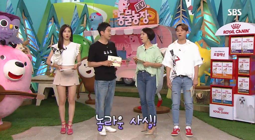 왜 반려견이 가족인가? | 인스티즈