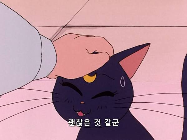 미소녀 전사 세일러문 (美少女戦士セーラームーン) 03 | 인스티즈