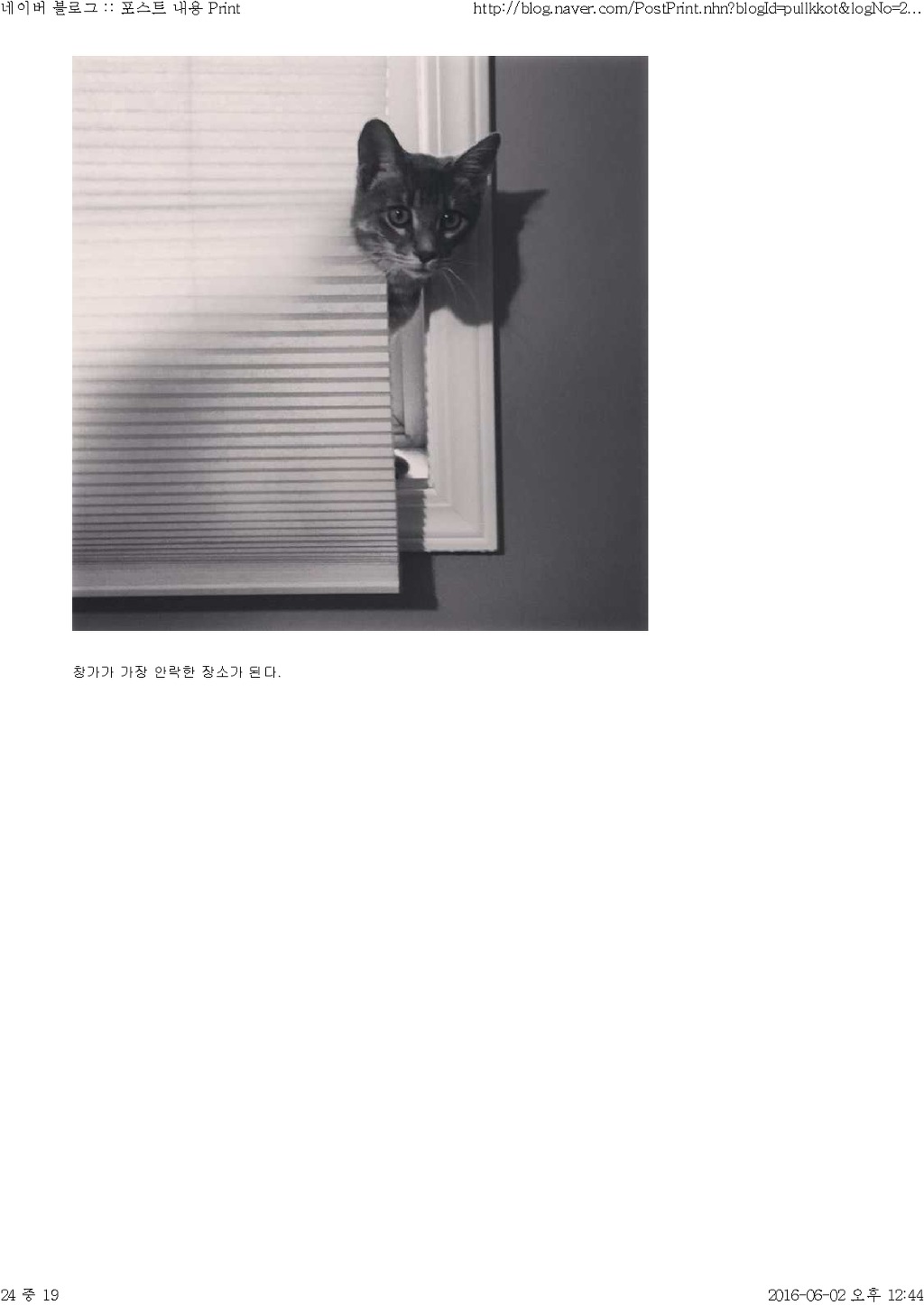 고양이와 함께 산다는것 | 인스티즈