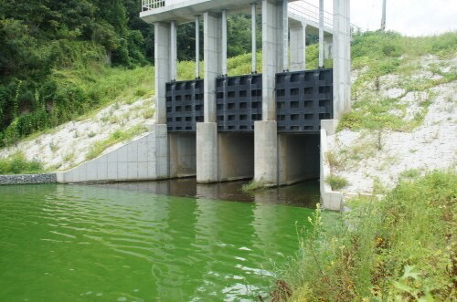 천방지축 어리둥절 빙글빙글 돌아가는 맹뿌의 하루 | 인스티즈
