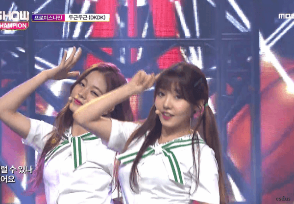 쇼 챔피언 노지선.gif | 인스티즈