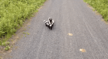 친화력 쩌는 가족 | 인스티즈