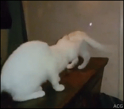 알면서도 당하게 되는...gif | 인스티즈