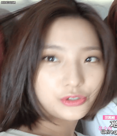프로미스나인 이새롬 V앱 뉴욕KCON 비하인드.GIF | 인스티즈