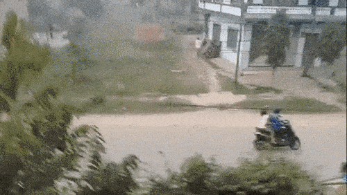 추격하는 코뿔소.gif | 인스티즈