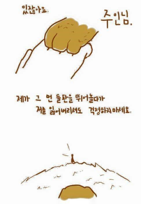 강아지와 주인의 이별법 | 인스티즈