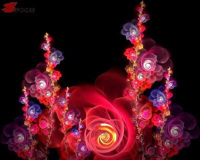 선인장 꽃 | 인스티즈