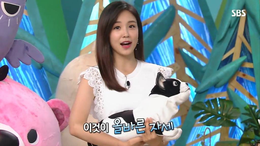 왜 반려견이 가족인가? | 인스티즈