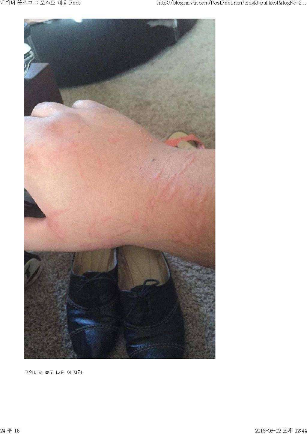 고양이와 함께 산다는것 | 인스티즈