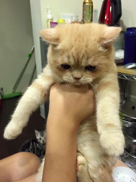 ??? : 제가 그런거 아니란 말이에요ㅜㅜ | 인스티즈