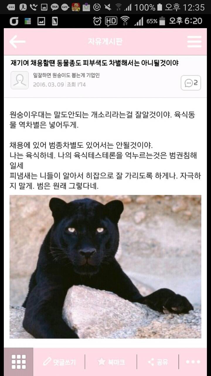 성재기 "일 잘하면 원숭이도 뽑는게 기업인" | 인스티즈