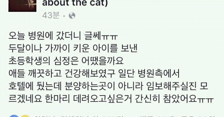 병원 앞에서 냥줍 | 인스티즈