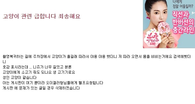 고양이한테 소고기 줘도 되나요??? | 인스티즈