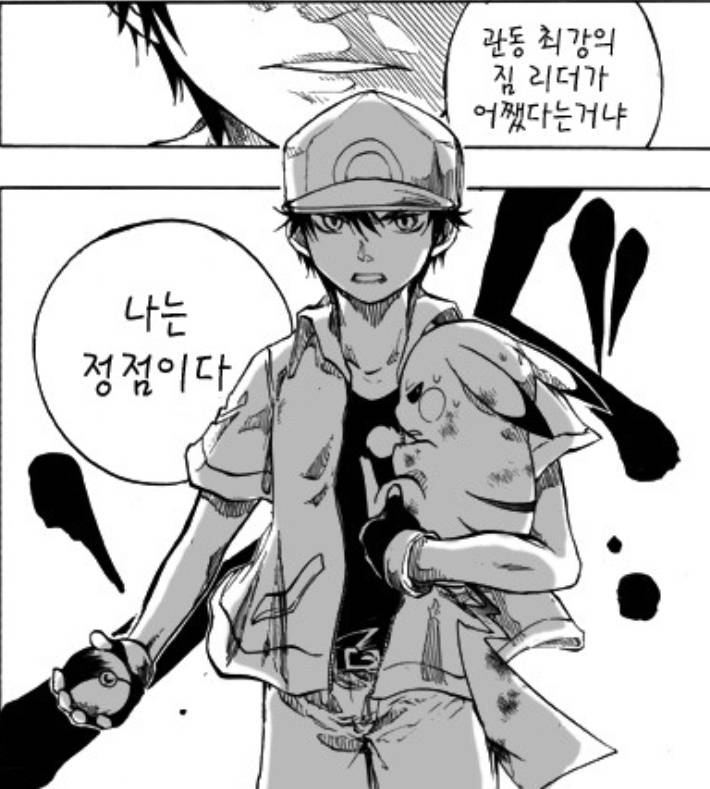 가장 멋있는 포켓몬스터 챔피언은? | 인스티즈