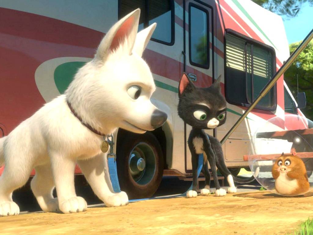 개인적으로 두 번 이상 본 애니메이션들 | 인스티즈