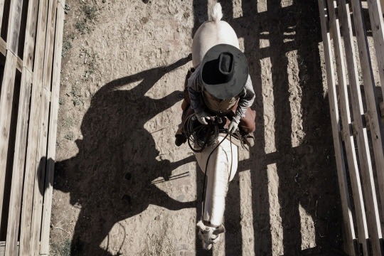  자라지 않는 나무 | 인스티즈