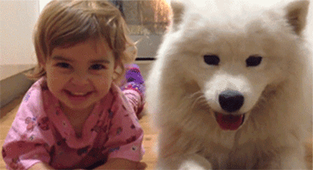 사람 따라 하는 댕댕이들 | 인스티즈