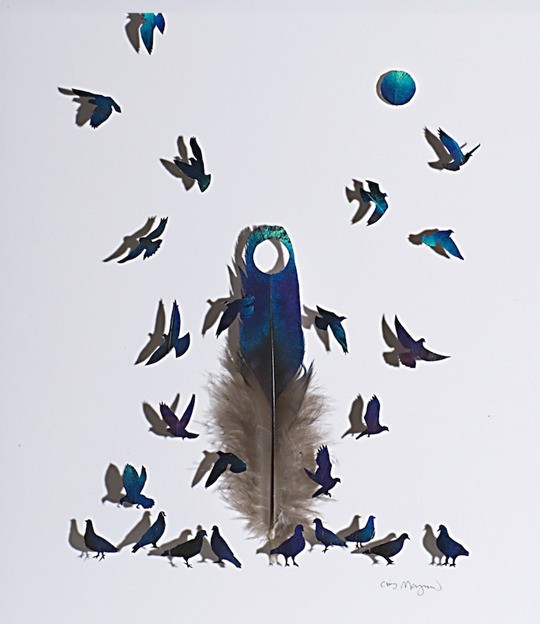 새들의 기털을 이용한 작품 | 인스티즈