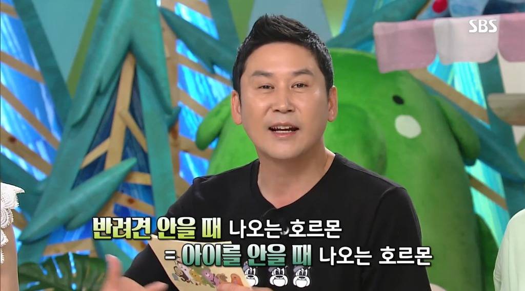 왜 반려견이 가족인가? | 인스티즈