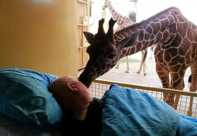 마지막 소원 | 인스티즈