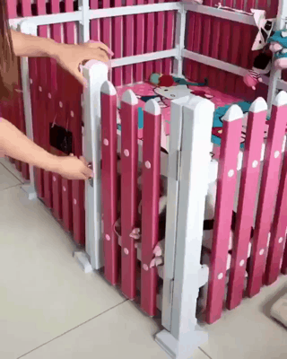 짱귀탱인 인절미 댕댕이들.gif | 인스티즈